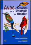 Aves Comunes de la Peninsula de Yucatan